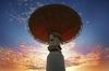 One of the Australian SKA Pathfinder radio telescope dishes at dusk in Western Australia.