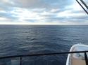 A view of the ocean from the bridge of Royal Caribbean's new Quantum of the Seas. 